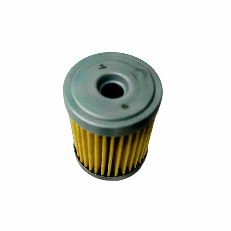 Filter Cartridge Hyundai CVT Gamma C0GF1 2017/UP