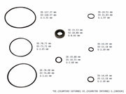POWER STEERING PUMP SEAL KIT FOR CHEVROLET DODGE FORD - Suntransmissions
