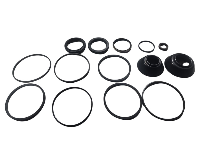 Power Steering Input Shaft Seal Kit Transtec RH Sheppard M-Series