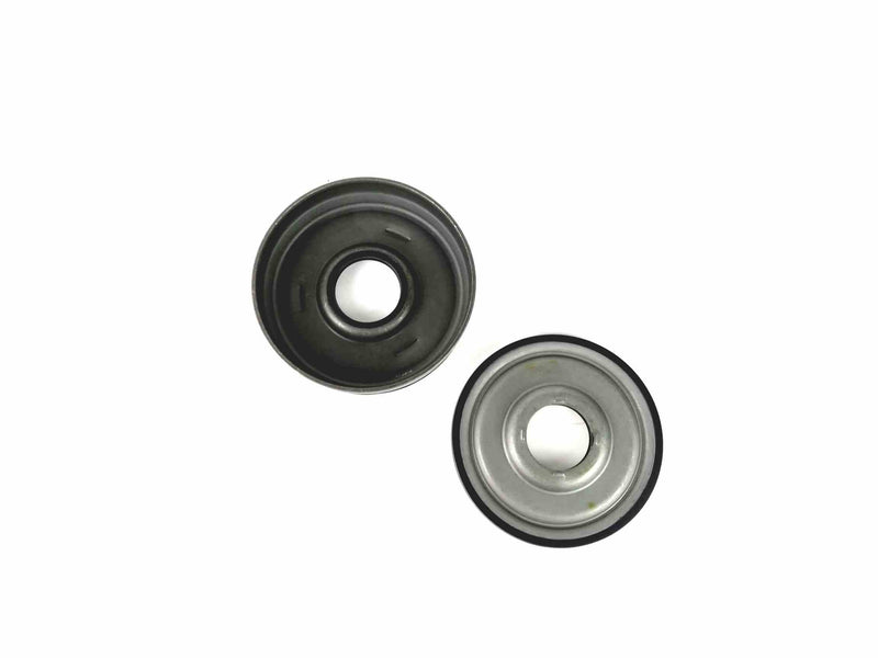 Overhaul Kit Transtec with Pistons 6R140