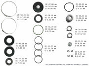 Power Steering Rack & Pinion Kit Colorado 4X2