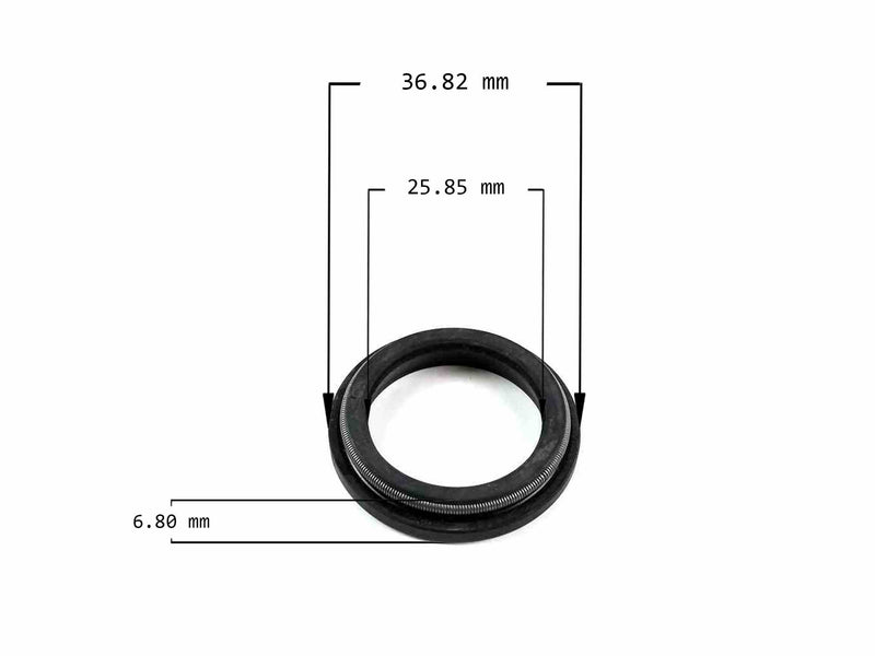 Power Steering Clad Seal Big Gear Century Cavalier