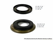 Piston Kit (2) Transtec 0B5 DL501