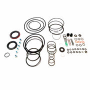 Overhaul Kit without Pistons 1000 2000 2400 LT100 LT2000 LT2400 2000/09
