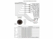 Harness External Female 10 pin 190 cm 01M